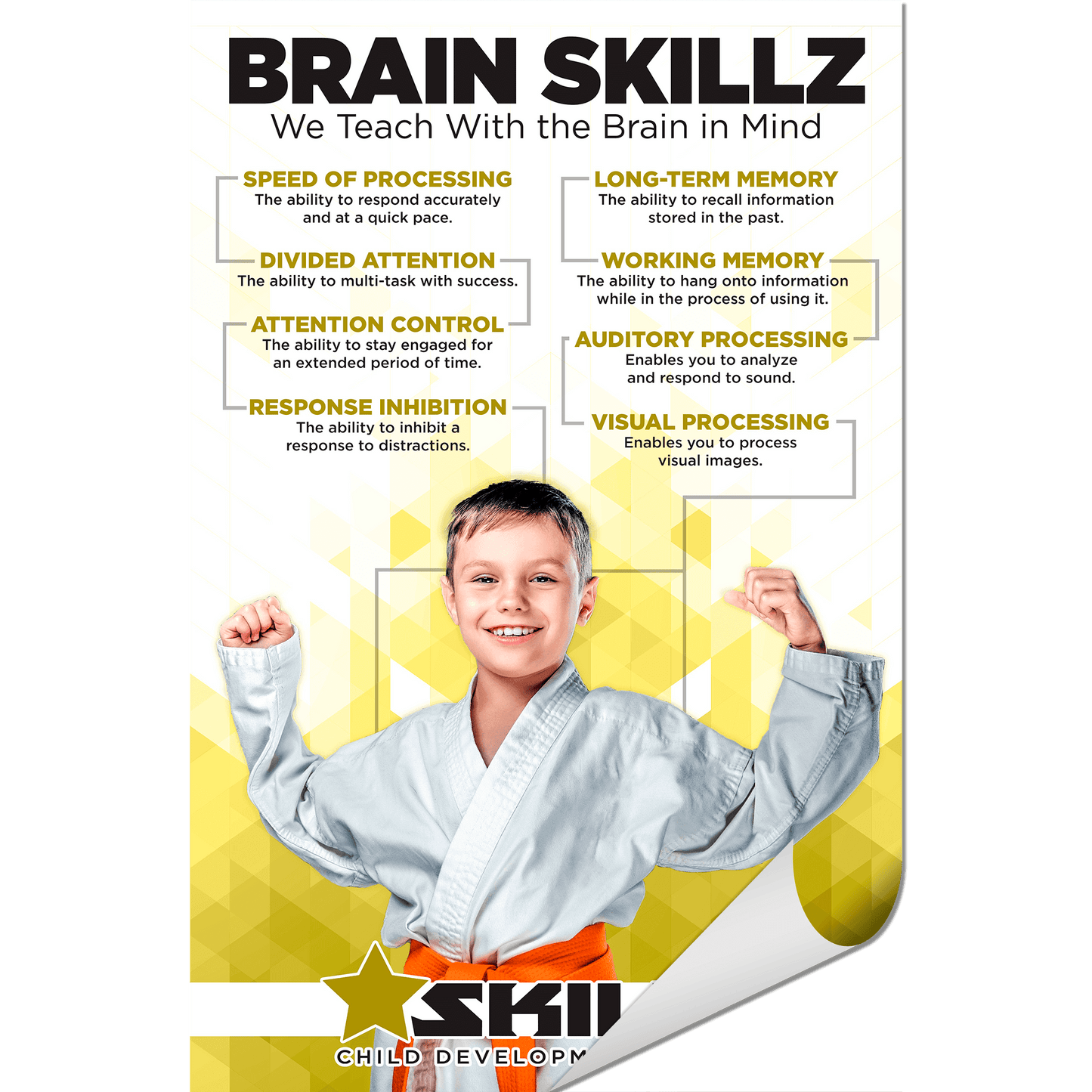 Brain, Talent and Teaching 3 Pack - Wall Decals
