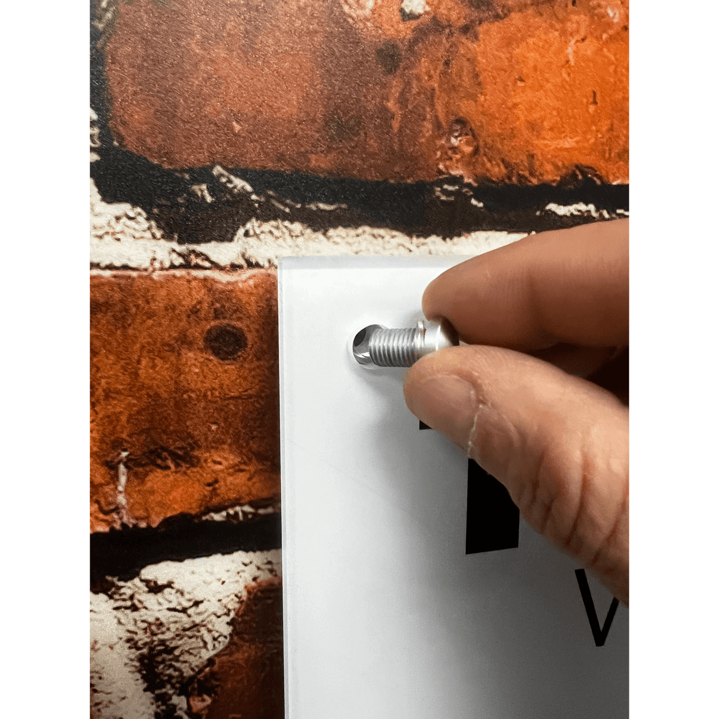 Age Specific 4 Pack - Acrylic