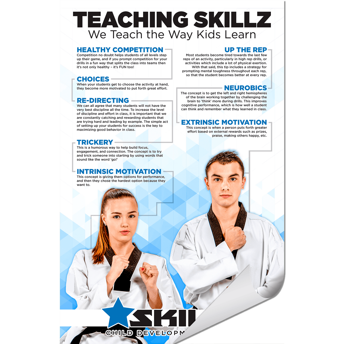 Brain, Talent and Teaching 3 Pack - Wall Decals