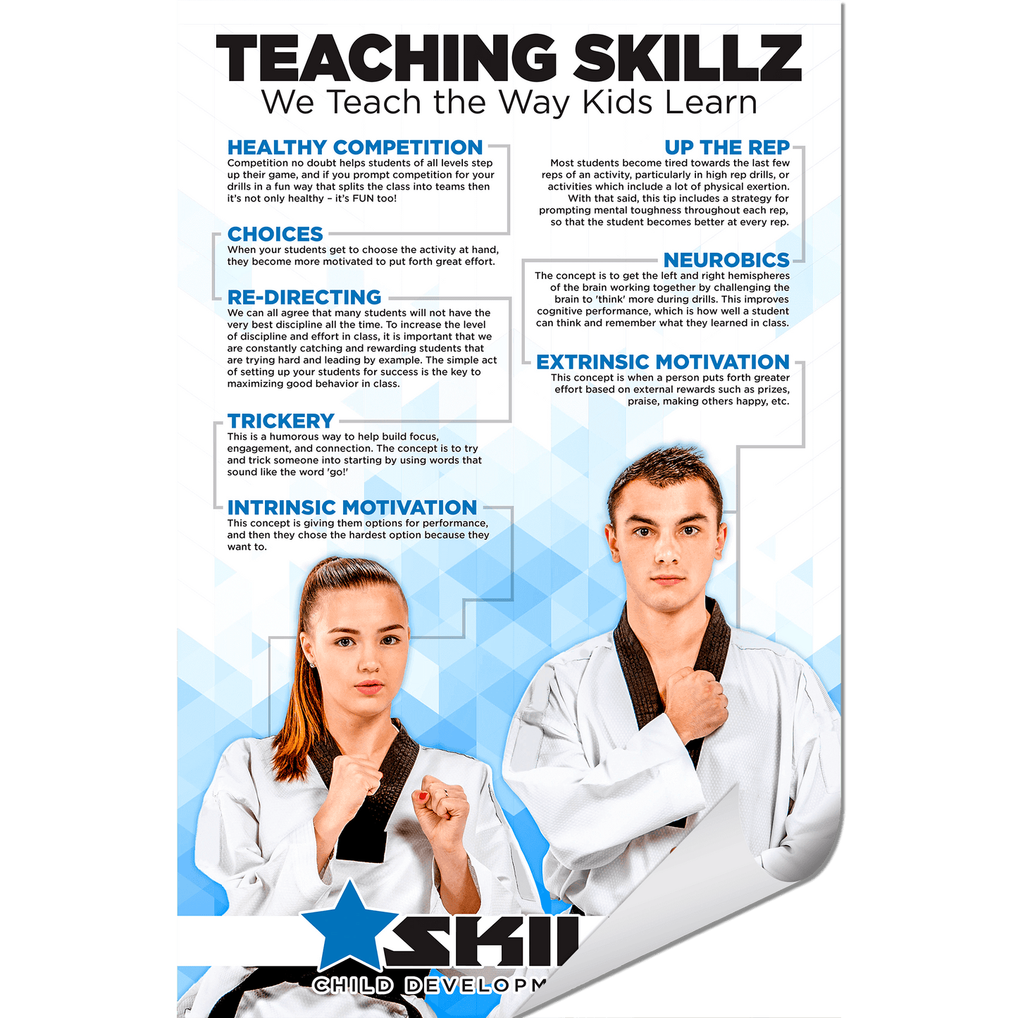 Skillz Single Sign - Wall Decals